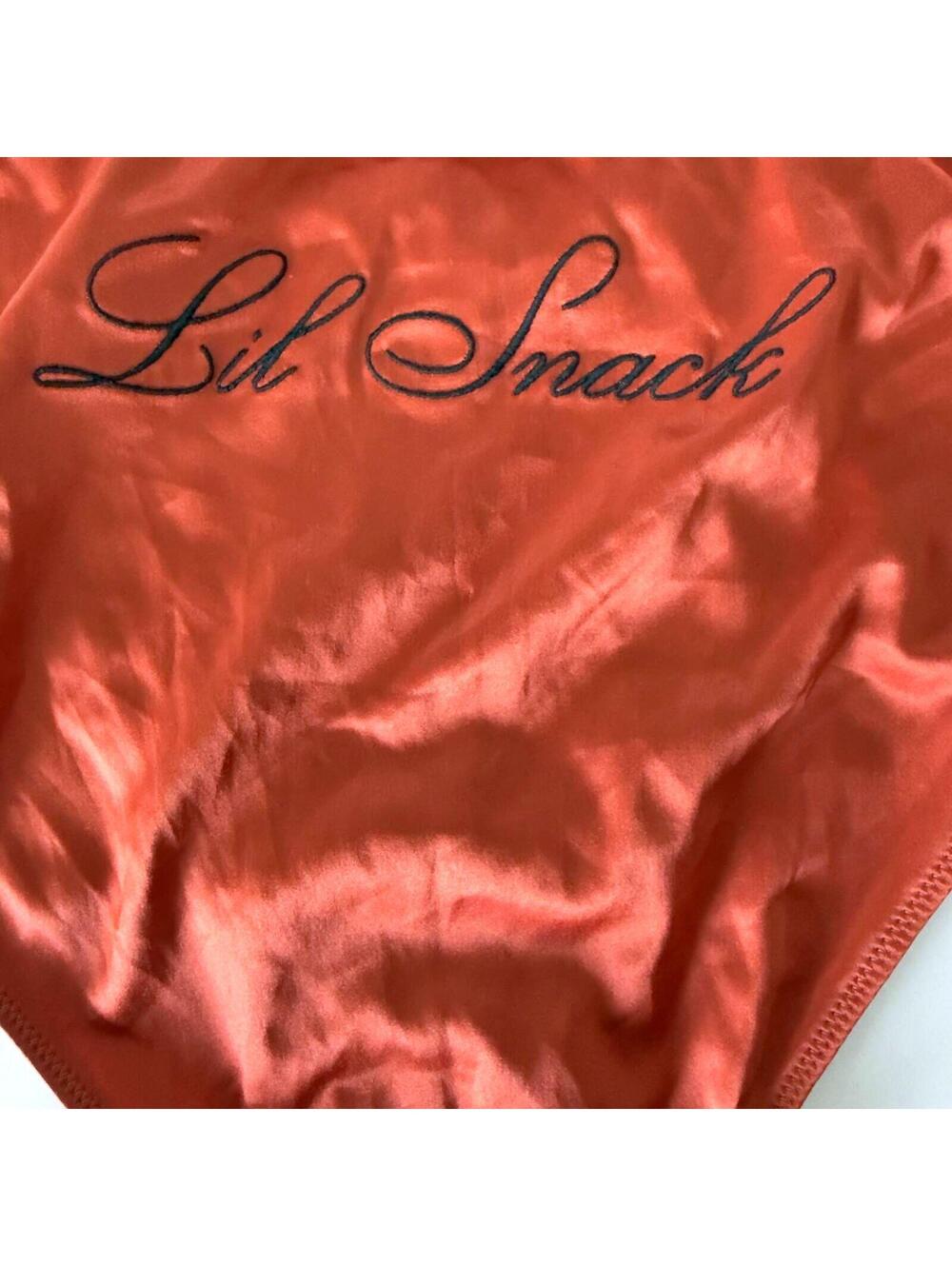 Victoria's Secret Embroidery Rust Lil Snack Cheeky Panty Size Large - Picture 3 of 3